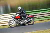 Vintage-motorcycle-club;eventdigitalimages;mallory-park;mallory-park-trackday-photographs;no-limits-trackdays;peter-wileman-photography;trackday-digital-images;trackday-photos;vmcc-festival-1000-bikes-photographs